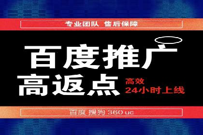 百度竞价推广成功案例解析
